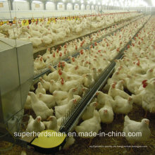 Equipo de cobertizo de control avícola para criadores
